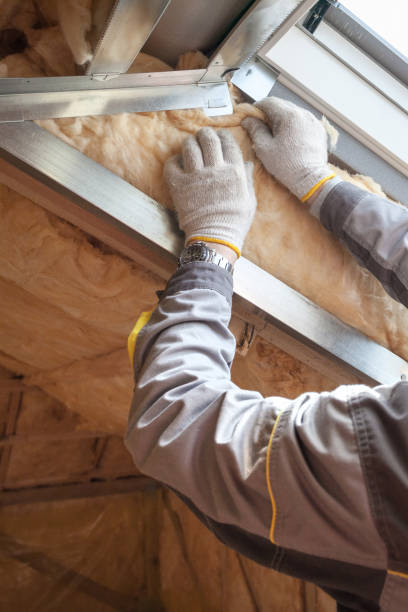 Best Geographic-Specific Insulation Services in Martinsburg, WV
