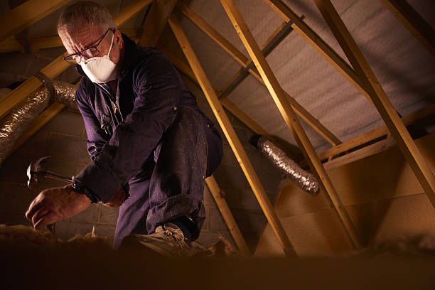 Best DIY Insulation Kits and Guidance in Martinsburg, WV