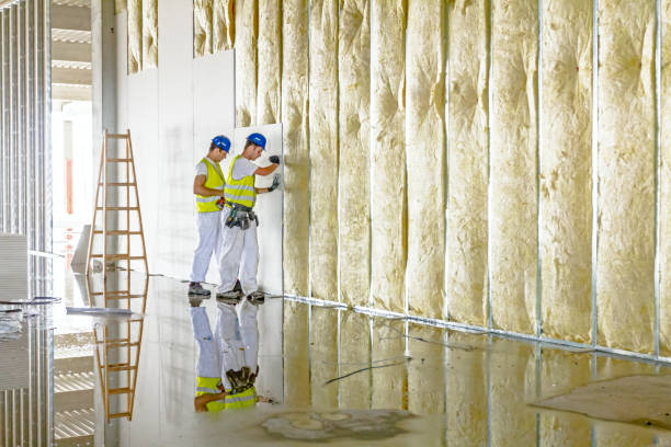 Best Insulation for Specific Applications in Martinsburg, WV